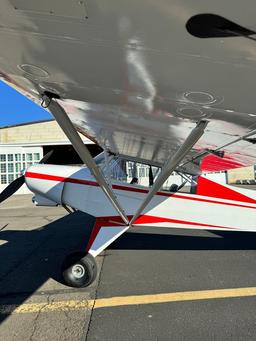 Javron - Experimental Cub - photo 3