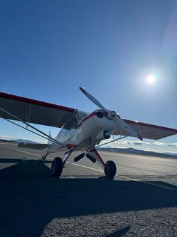 Javron - Experimental Cub - photo 2