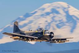 Douglas - Douglas AD-4N(A) Skyraider - photo 15