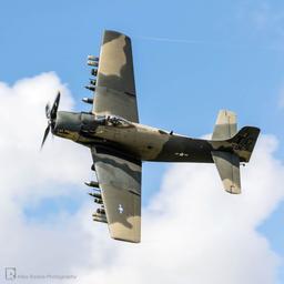Douglas - Douglas AD-4N(A) Skyraider - photo 5