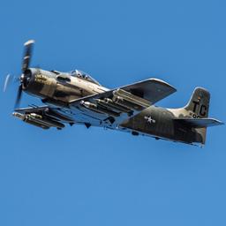 Douglas - Douglas AD-4N(A) Skyraider - photo 4
