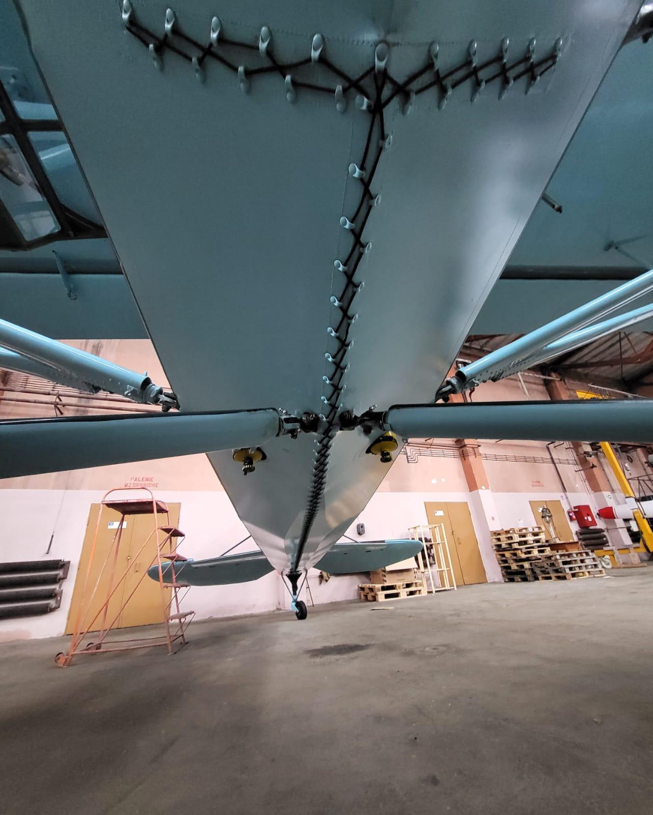 Fieseler - Fieseler Fi 156 (Storch) - main photo