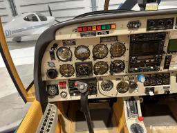 Robin - DR500 - photo 6