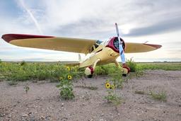 Cessna - Cessna C-165 Airmaster - photo 3