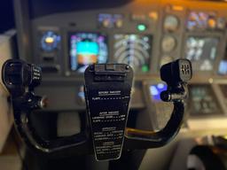 Boeing - Boeing 737NG - photo 12