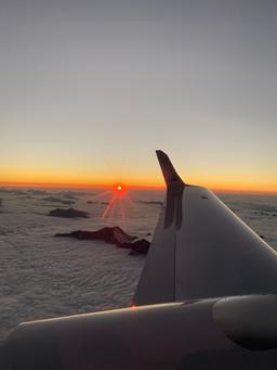 Diamond Aircraft Industries - Diamond DA-42 Twin Star - photo 4
