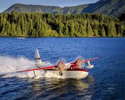 Grumman - Grumman G-73 Mallard - photo 2