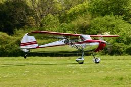 Cessna - Cessna 170 - photo 3