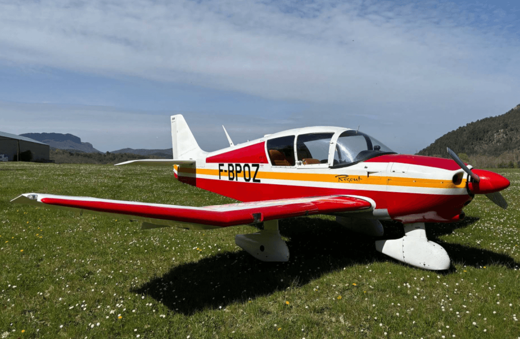 Robin - DR-253 - main photo