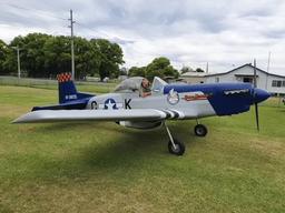 Roehle - Mustang - photo 2