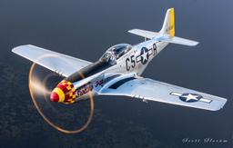 North American Aviation - North American P-51D Mustang - photo 1