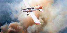 Thrush - 710P - photo 2
