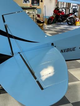 CubCrafters - N81UE - photo 4