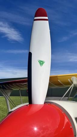 Aviat - Christen Eagle 2 - photo 15