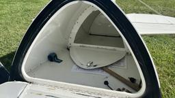 Aviat - Christen Eagle 2 - photo 10