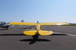 Aviat - A-1 Husky Pup - photo 11