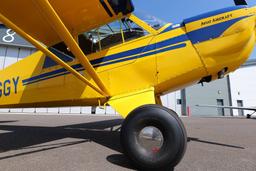 Aviat - A-1 Husky Pup - photo 18