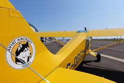 Aviat - A-1 Husky Pup - photo 20