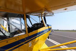 Aviat - A-1 Husky Pup - photo 22