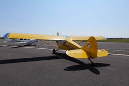 Aviat - A-1 Husky Pup - photo 10