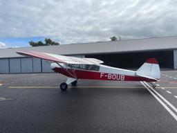 Piper - PA-19 Super Cub - photo 2