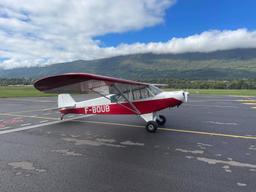 Piper - PA-19 Super Cub - photo 5