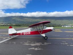 Piper - PA-19 Super Cub - photo 6