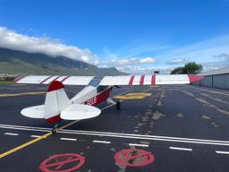 Piper - PA-19 Super Cub - photo 7
