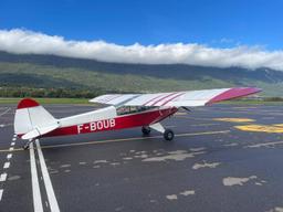 Piper - PA-19 Super Cub - photo 8