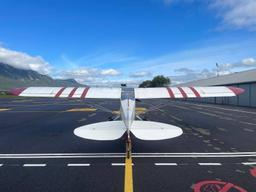 Piper - PA-19 Super Cub - photo 9