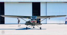 Cessna - L-19A/O1 - photo 1