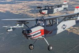 Cessna - Cessna L-19 Bird Dog - photo 2