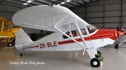 Piper - Piper PA-22-150 Tri-Pacer - photo 1