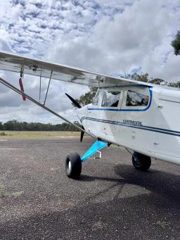 BushCaddy - L-164 - photo 2