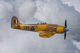 Hawker Aircraft - Hawker Sea Fury - photo 3