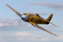 Hawker Aircraft - Hawker Sea Fury - photo 5