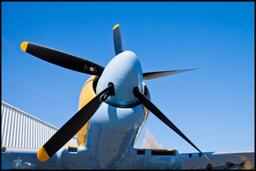 Hawker Aircraft - Hawker Sea Fury - photo 14