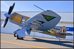 Hawker Aircraft - Hawker Sea Fury - photo 15