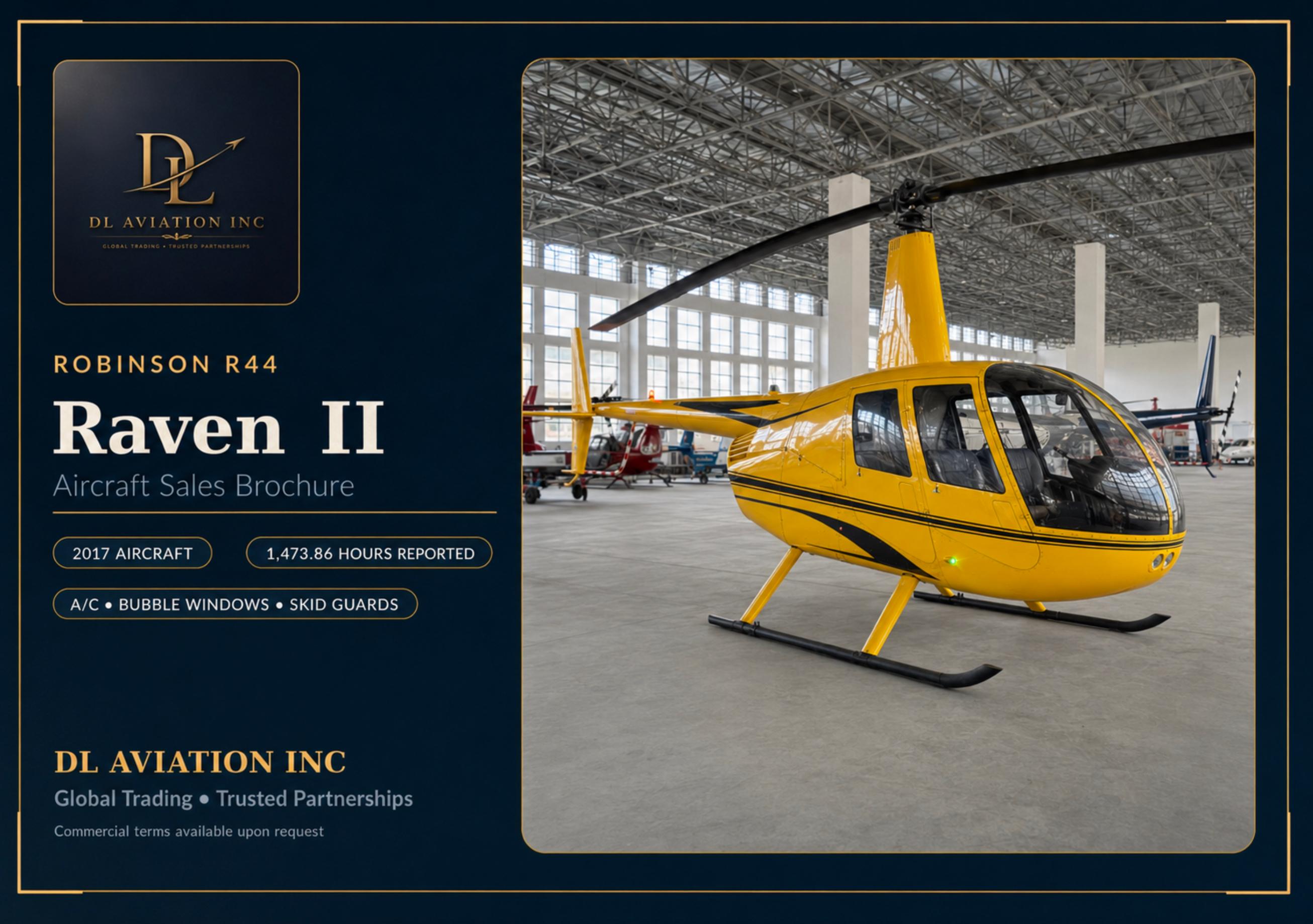 Robinson - R44 Raven - main photo