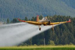 Zlín Aircraft - Zlín Z-137T Turbočmelák - photo 2