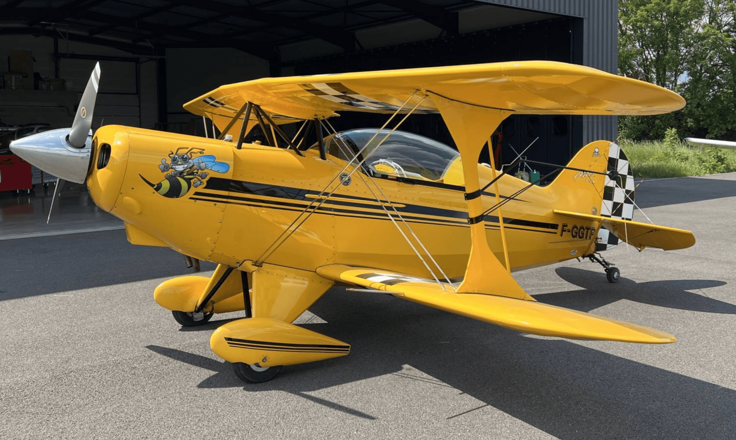 Pitts - S-2A - main photo