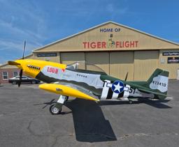 Williams John - T-51 Mustang - photo 5