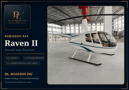 Robinson - Raven 2 R-44 - photo 1