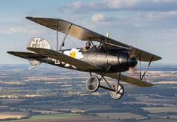 Albatros - Albatros D.Va-1 - photo 4