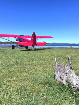 American Legend Aircraft Company - American Legend Aircraft Company Legend Cub - photo 4